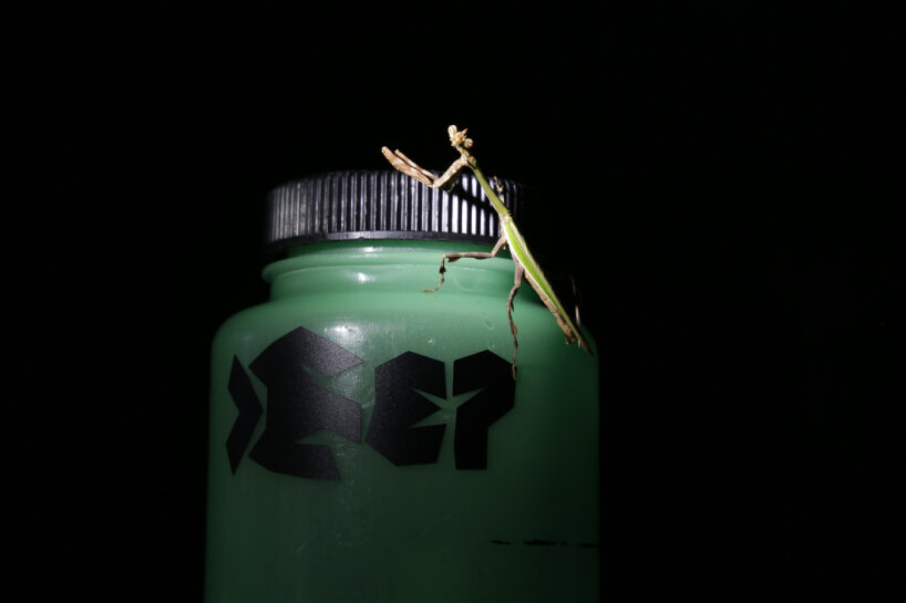 sabine marcelis 3d-printed armature case deep exopack