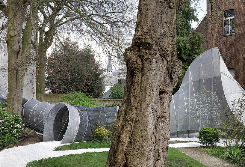 SO – IL common thread