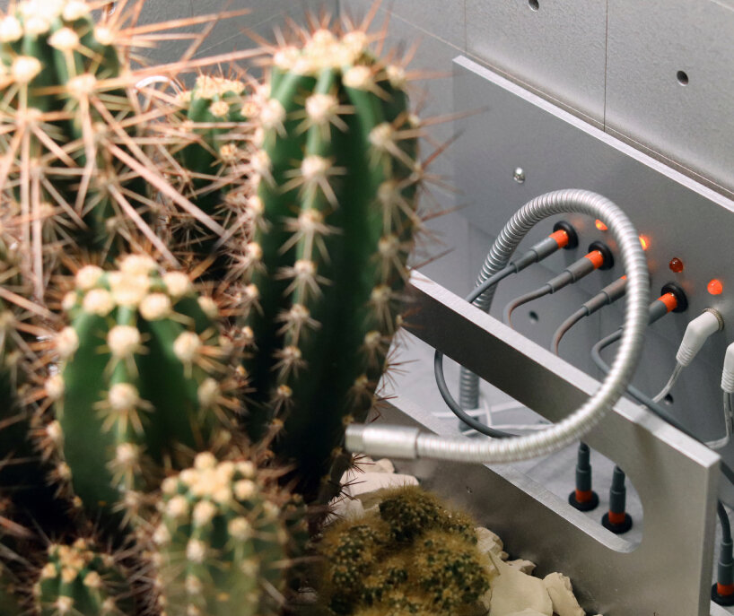 sónar+D love hultén designboom