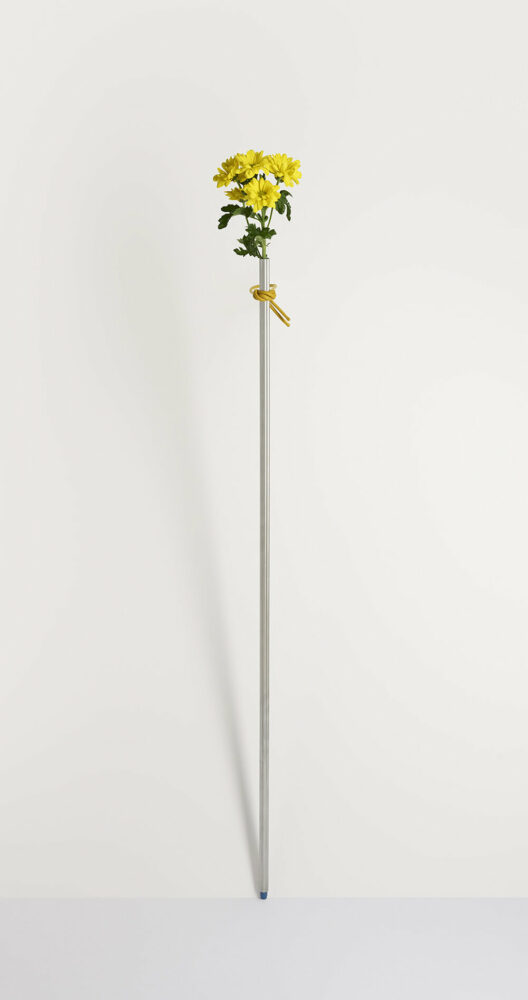 SMALL GESTURES by Julie Richoz | image © Miro Zagnoli