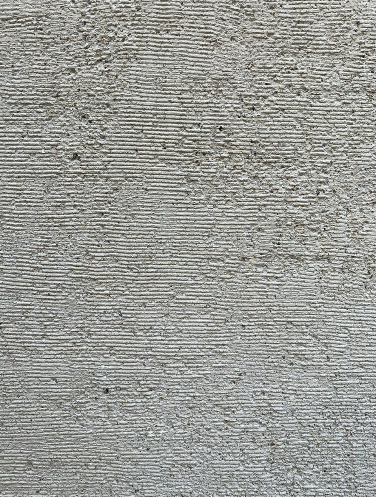 detail shot of preserved textures