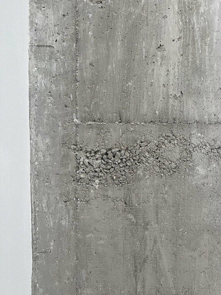 detail shot of preserved textures