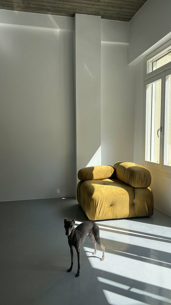 adapting the interiors to contemporary housing needs