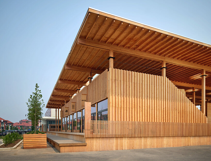 sycamore oak adjaye associates
