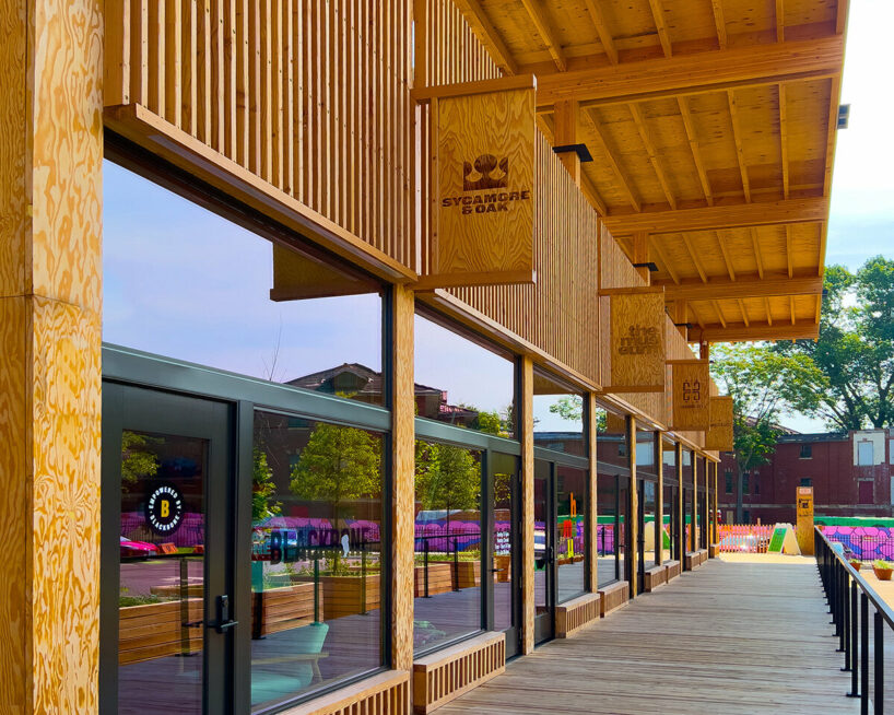 image © Sycamore & Oak