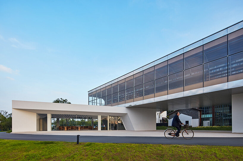 tree-shaped bookcase emerges from protoscapes' horizon library in china
