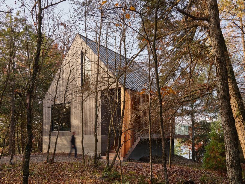 dubbeldam's rustic cottage in canadian woodlands unfolds across two split gables