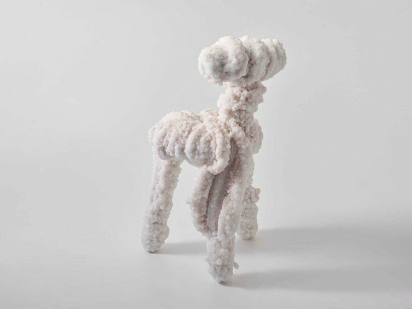 Erez Nevi Pana, Bleached (BB.2021.Sep.2), 2021, salt crystallized loofah, wood and aluminum structure