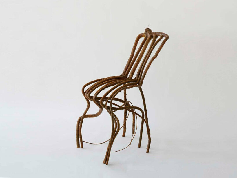 Full Grown, The Goodall Chair, 2021, Salix viminalis (willow)