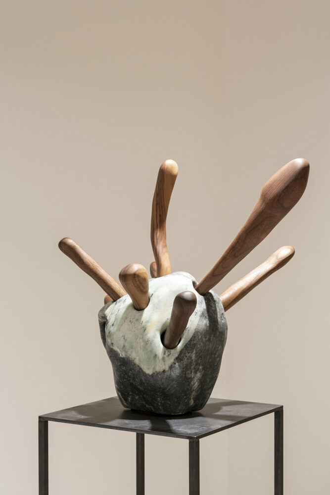 image © Tom Wright / Penguins Egg Studio