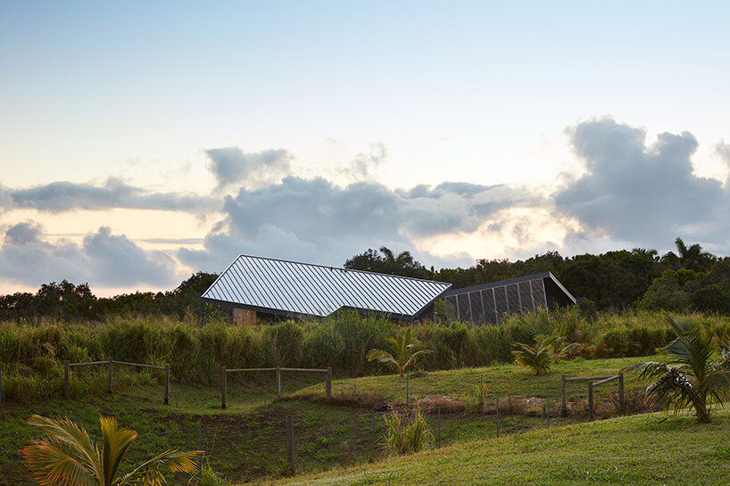 spiegel aihara kauhikoa core