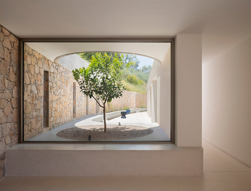 the entrance lobby frames the courtyard and a lemon tree