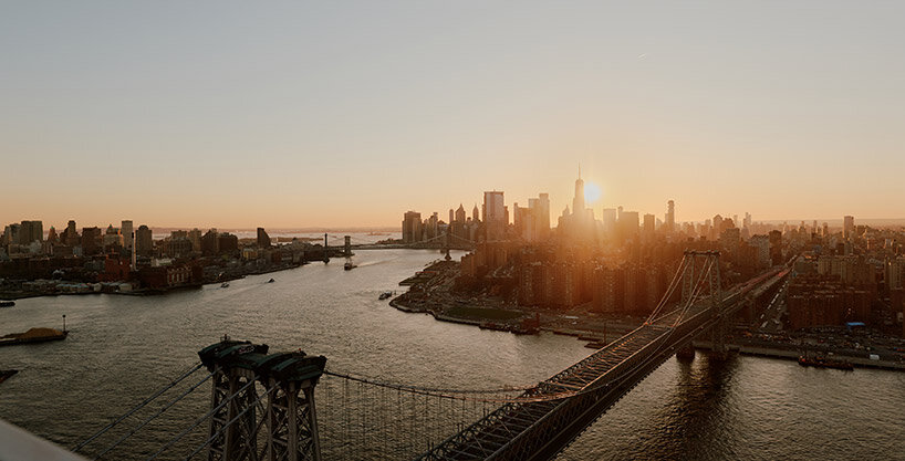 one domino annabelle selldorf