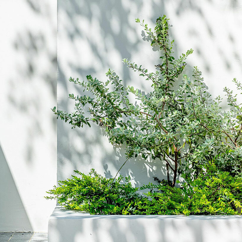 carefully positioned greenery offers serene views