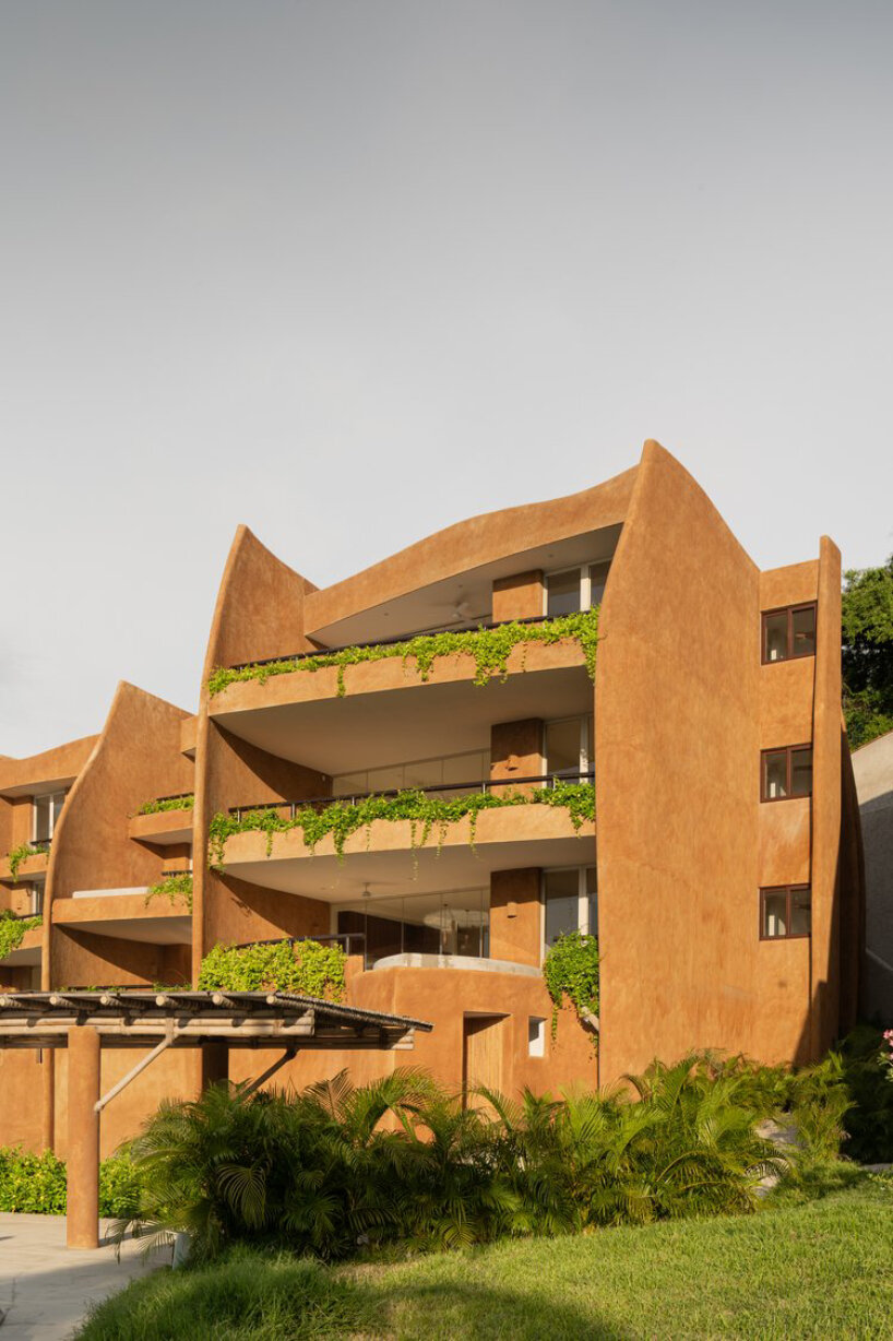 zozaya arquitectos' 'armadillo' residences in mexico capture curves of its namesake creature