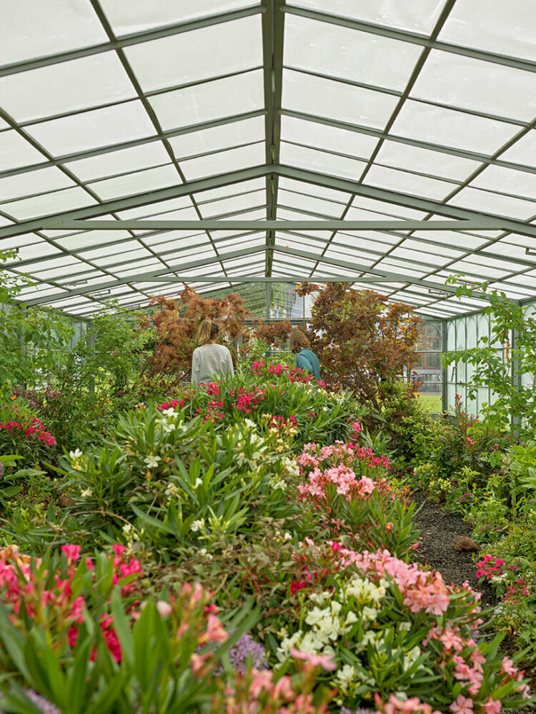 Fondation Beyeler, Riehen/Basel, 2024. Precious Okoyomon, the sun eats her children, 2024 Flowers, butterflies and sound, courtesy of the artist © Precious Okoyomon photo: Mark Niedermann