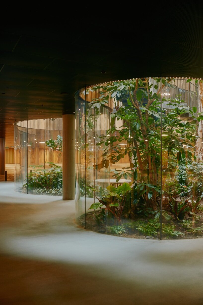 david altrath captures COBE's harborside oasis engulfed in biodiversity in copenhagen