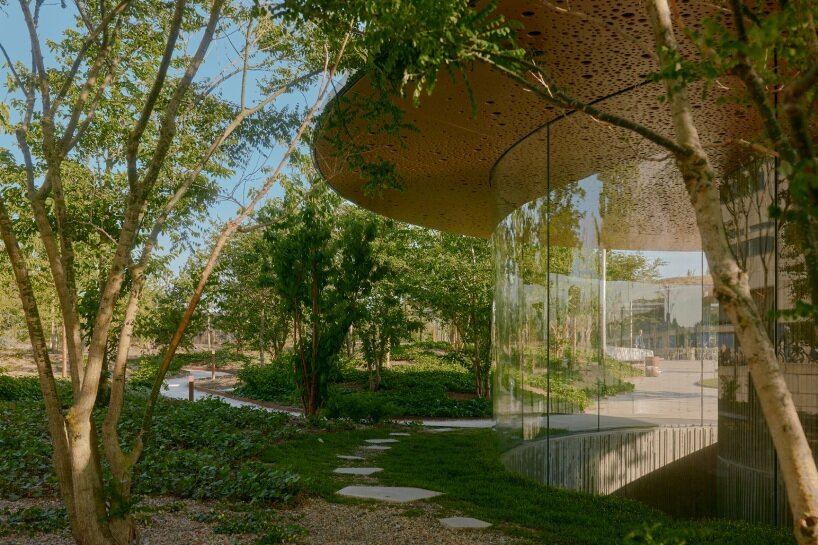 david altrath captures COBE's harborside oasis engulfed in biodiversity in copenhagen