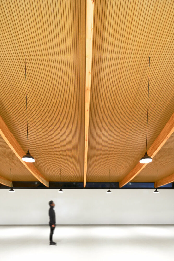 the pavilion's architecture centers on the interior experience, using voids as primary connectors