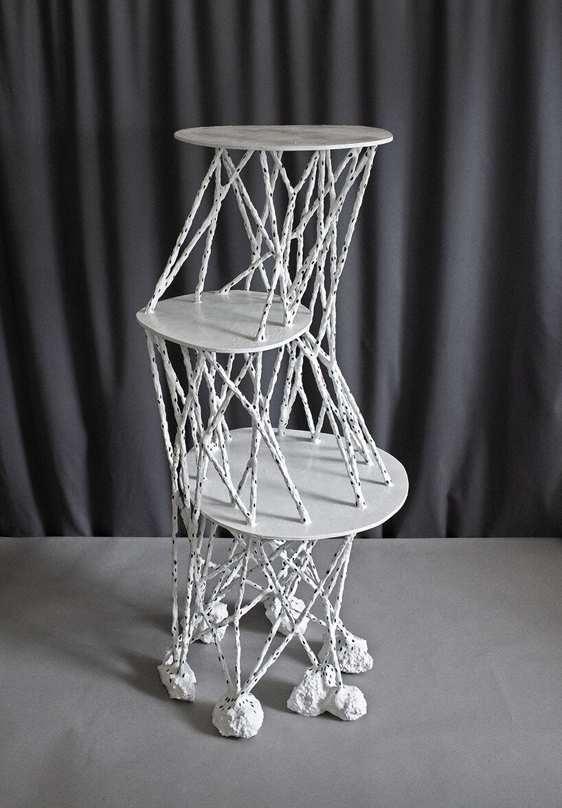 the design evokes a sense of vertical growth