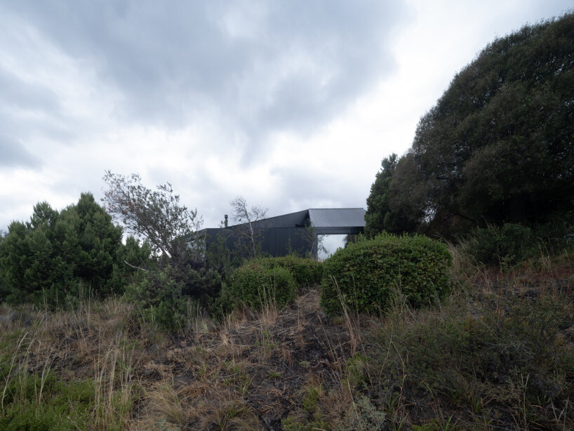 moarqs fits self-sufficient house in argentina forest with solar and water-harvesting systems
