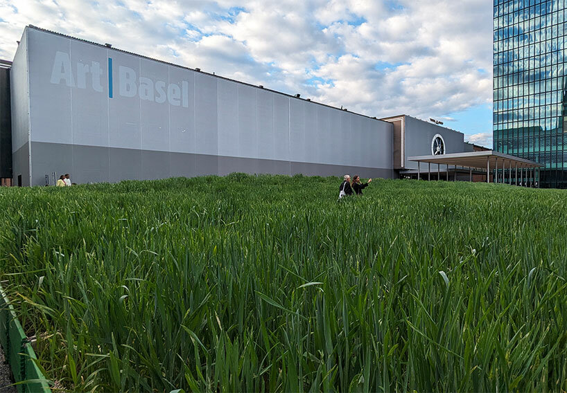 from christo to yayoi kusame: the best of unlimited at art basel 2024 