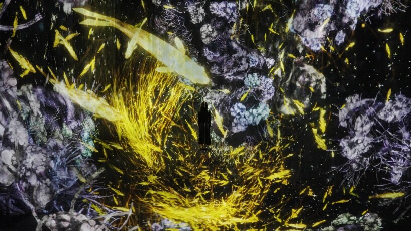 kaleidoscopic fusion of technology, art, and nature for teamlab borderless jeddah