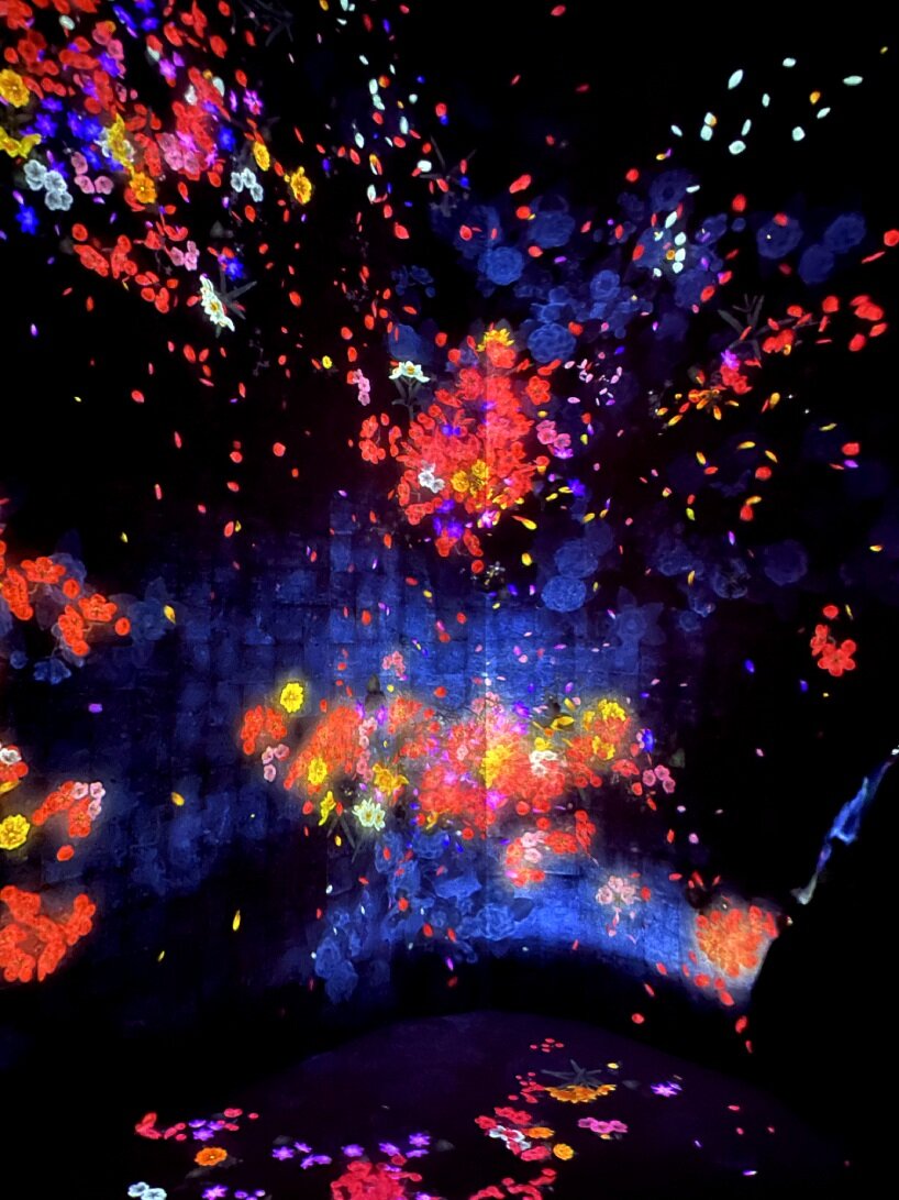 kaleidoscopic fusion of technology, art, and nature for teamlab borderless jeddah