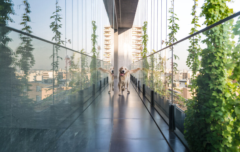 rooydaad architects wraps 5+1 residence with tapestry of greenery in tehran