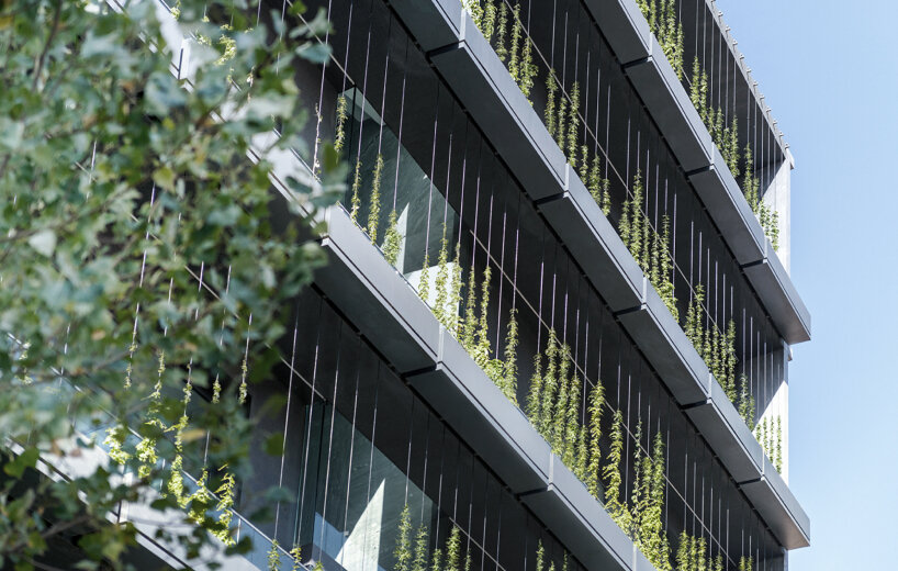 rooydaad architects wraps 5+1 residence with tapestry of greenery in tehran