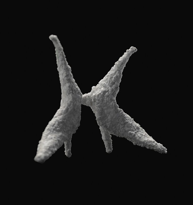 image by Marinó Thorlacius