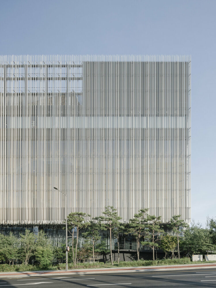 image © Yongbaek Lee