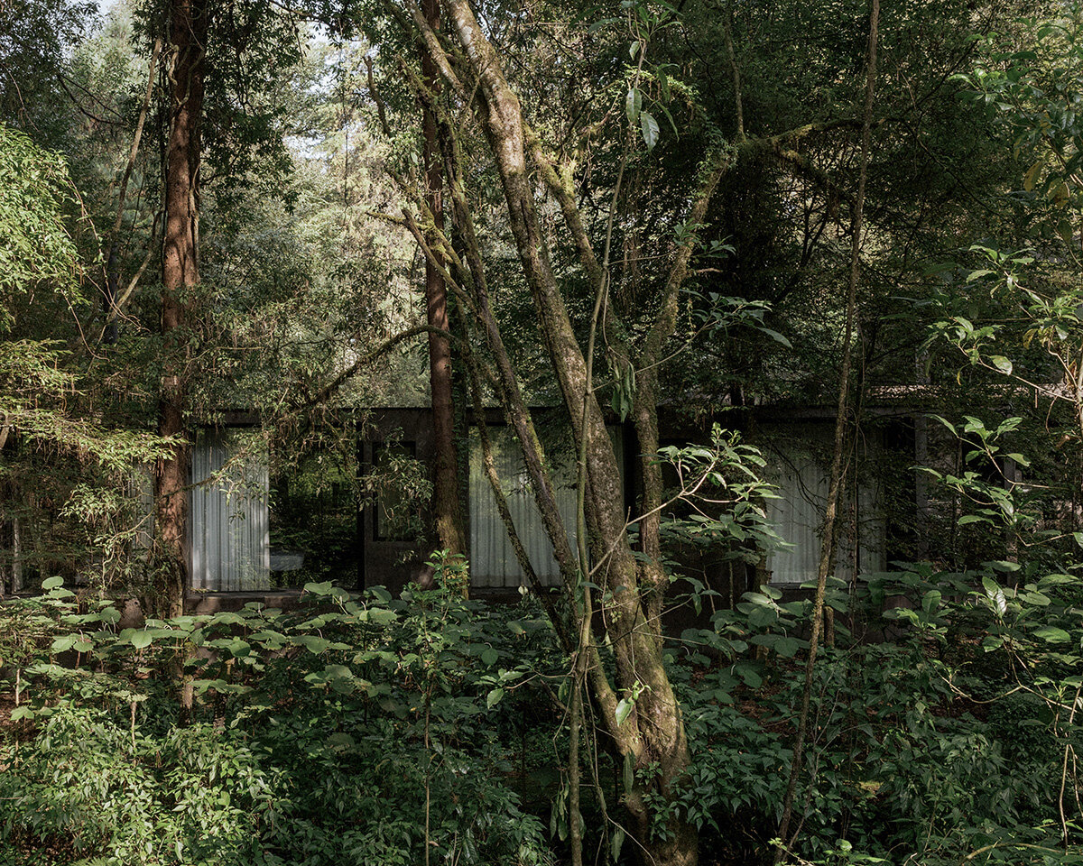 image © Luis Garvan