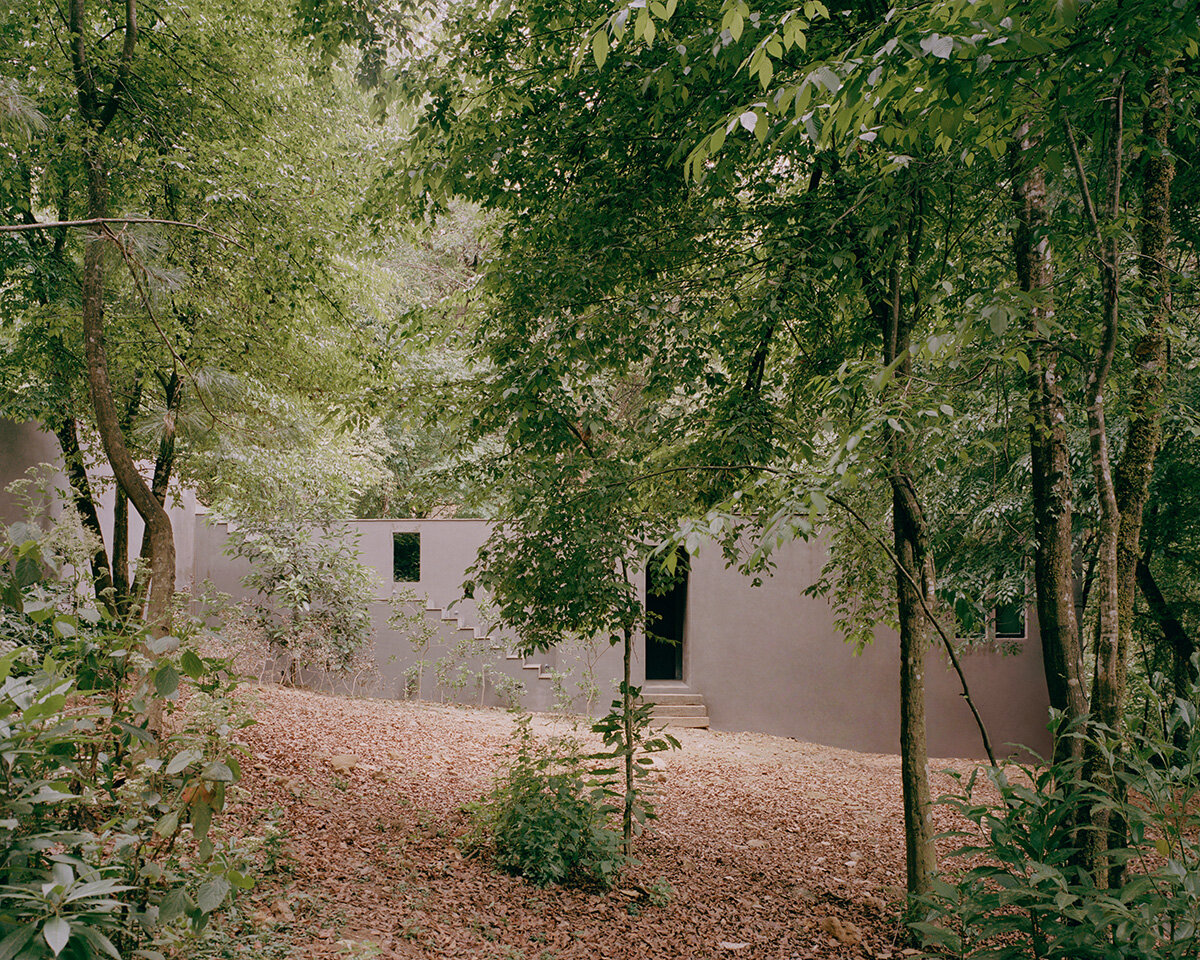 image © Rory Gardiner