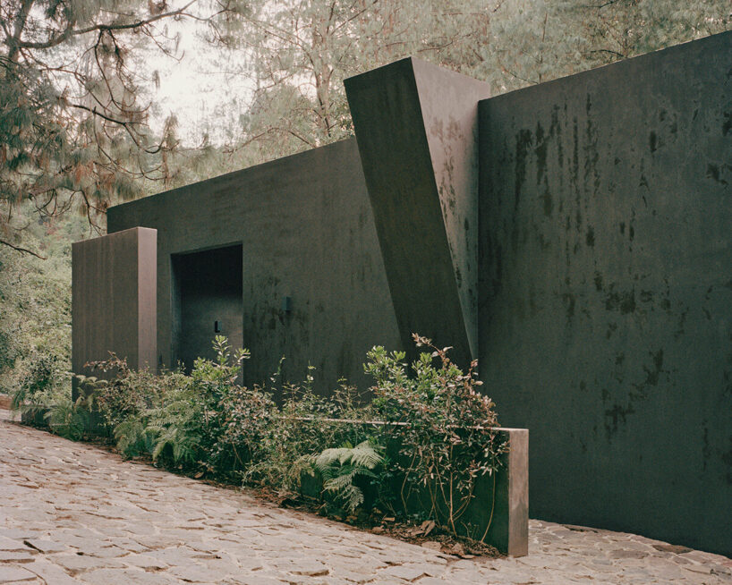 image © Rory Gardiner