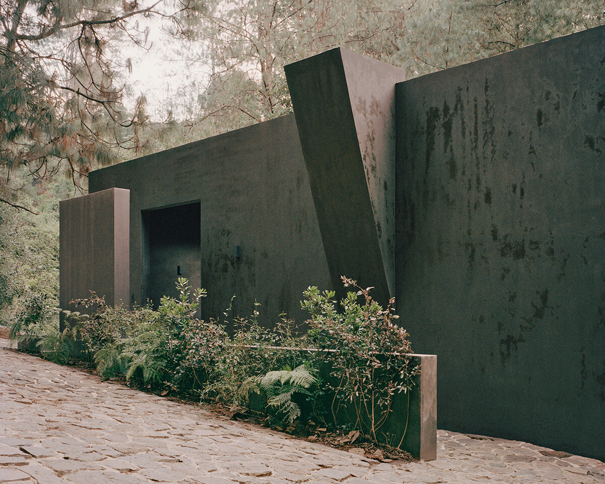 image © Rory Gardiner