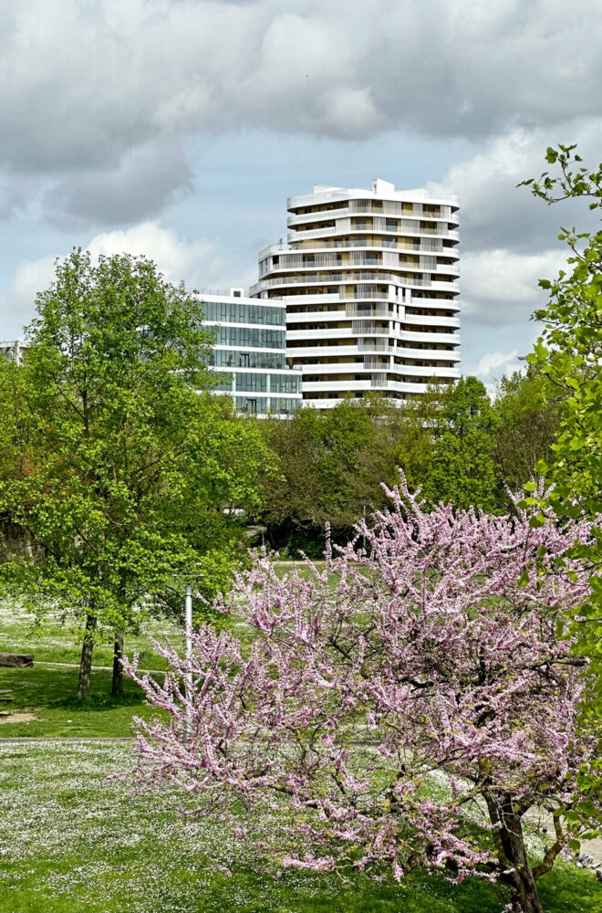 image by ©Clément Bonnérat