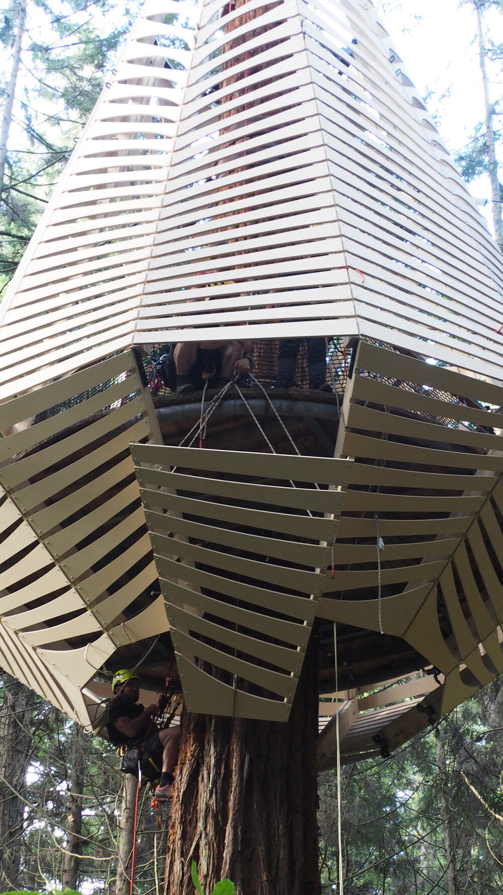 the slats are made from Tricoya, and exterior grade MDF board