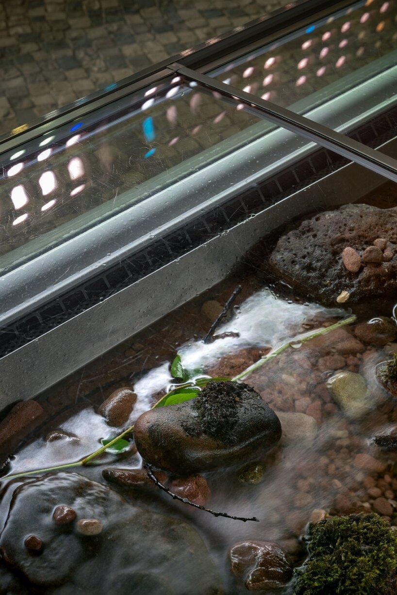 henriette waal of atelier LUMA on bridging ecologies & culture through bioregional research