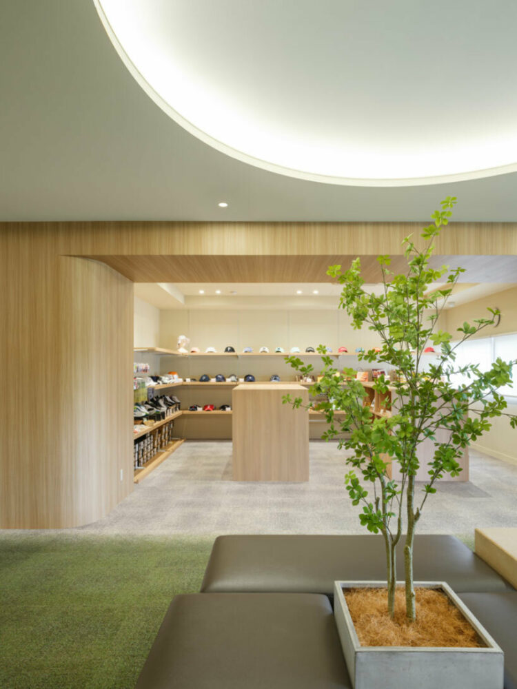 curved columns frame the shops