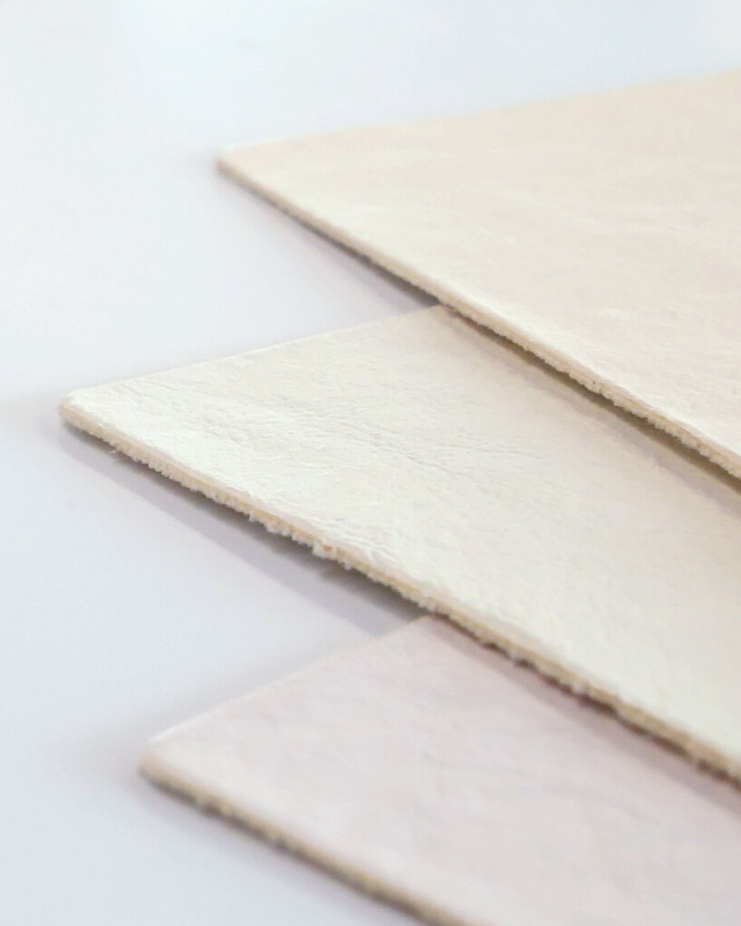 mycelium mycoworks cadillac sollei