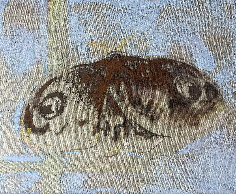 image courtesy of Djabril Boukhenaïssi