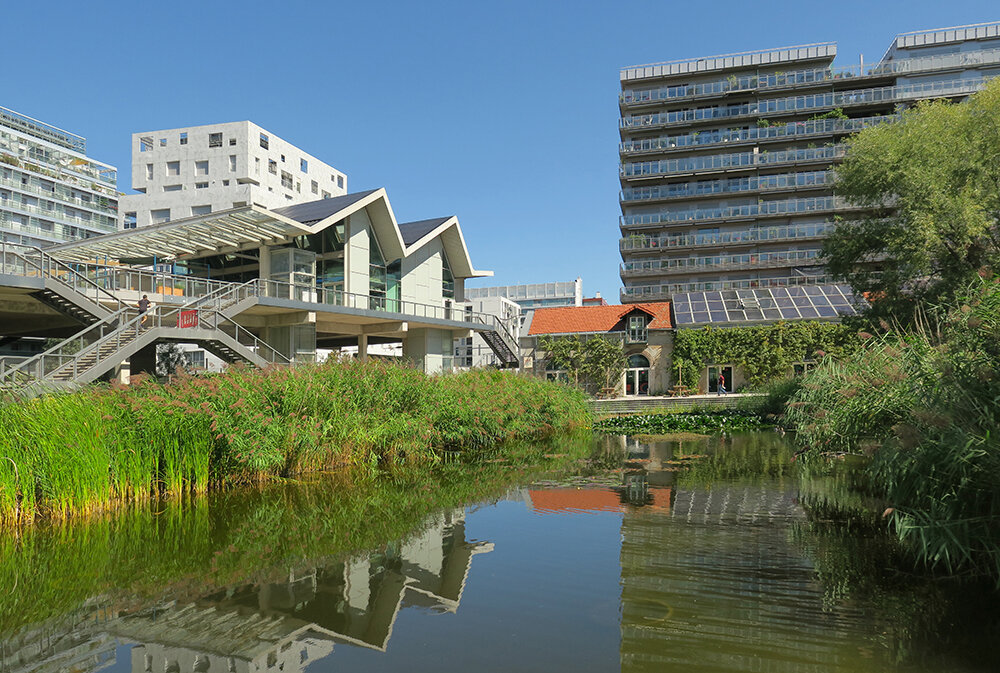 Martin Luther King Park - landscape design by Jacqueline Osty