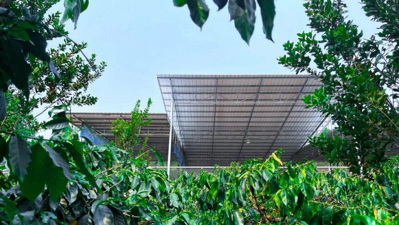 view of roofs (qingkai village)