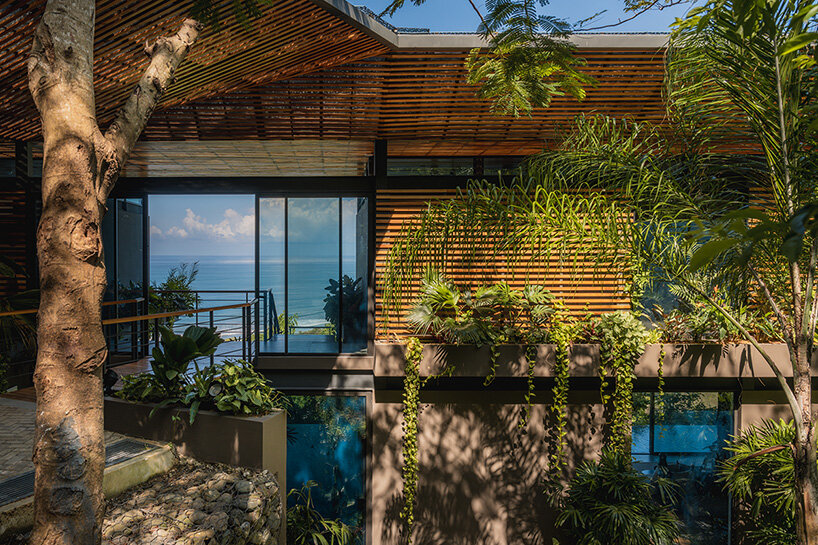 studio saxe cascada luz