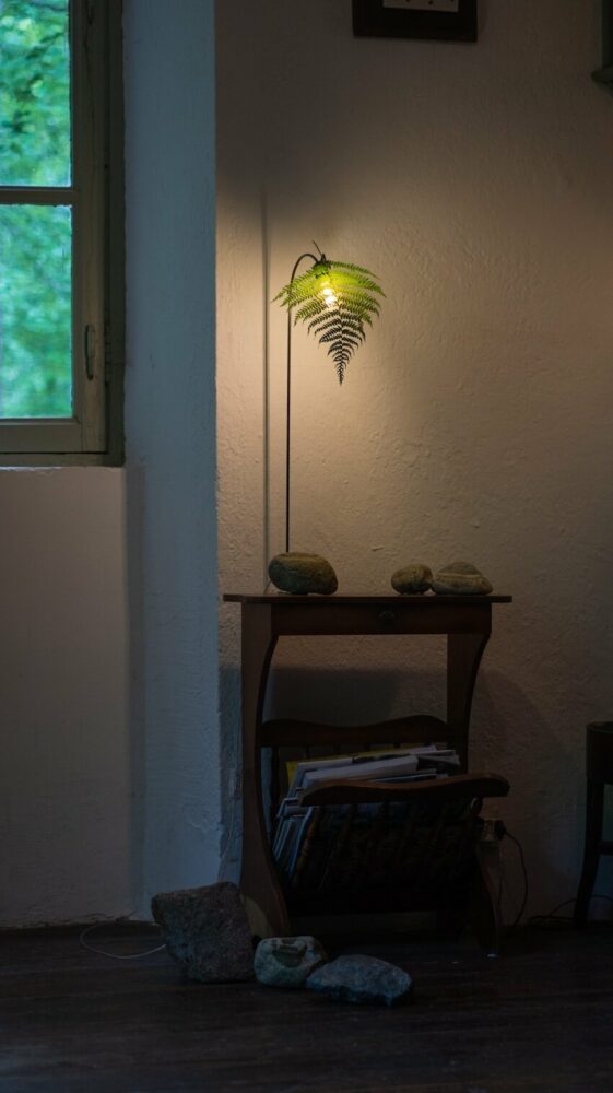 variety in size caters to different spaces and lighting needs