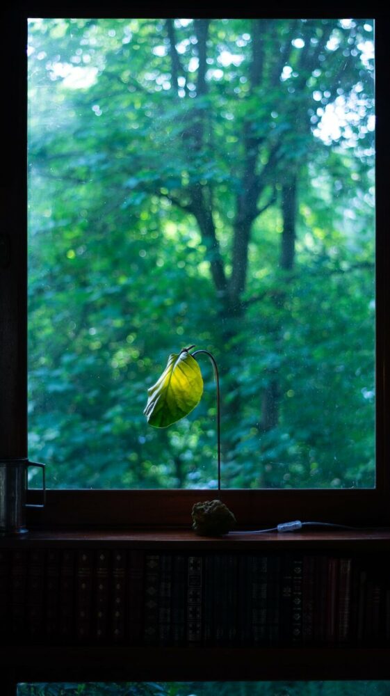 2W LED lightbulbs produce very little heat and are energy efficient