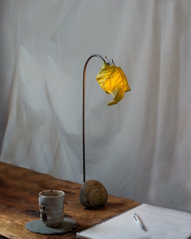 the clip mechanism is easily removable, making it simple to insert a new leaf