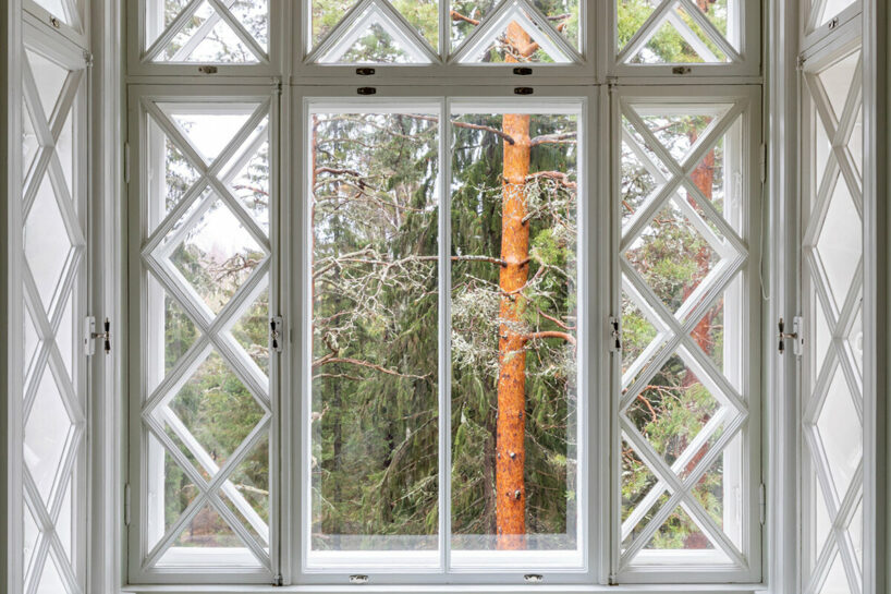 image © Marc Goodwin