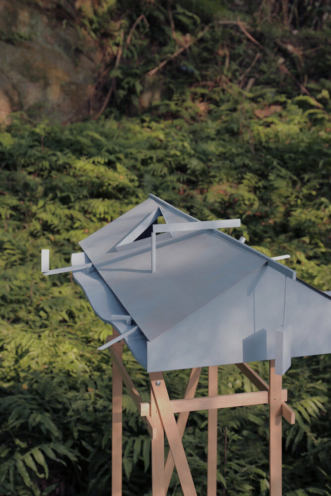 image © Wei Chieh Kung